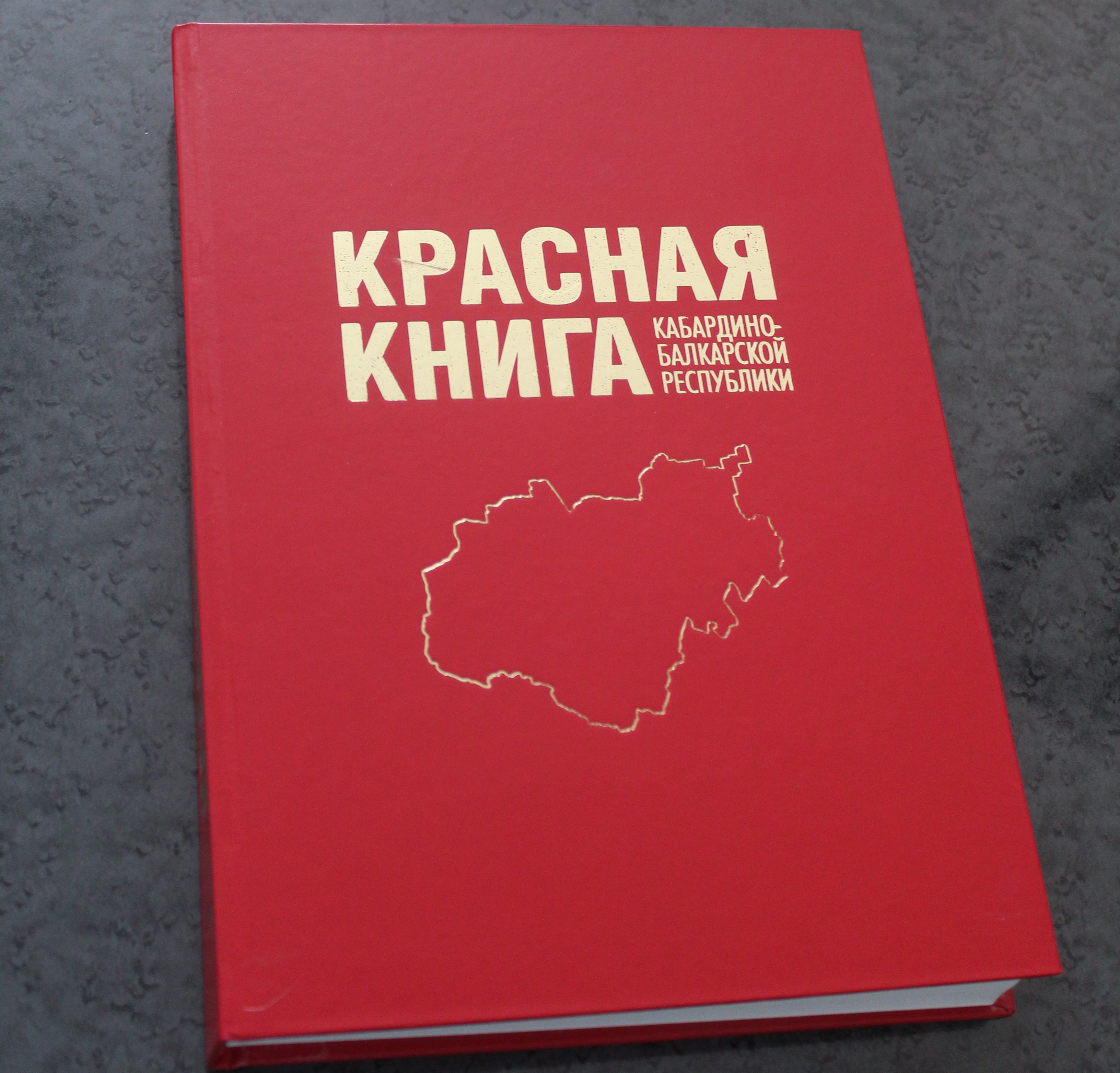 Рассмотрены вопросы реагирования и обеспечения безопасности при появлении кавказского бурого медведя