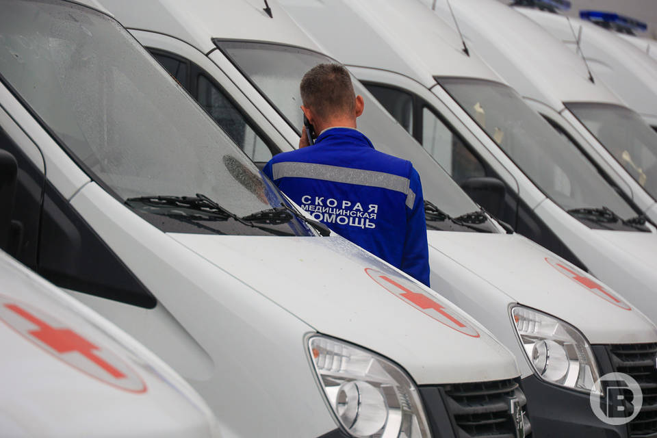 Под Волгоградом «Рено» сбило 11-летнюю девочку