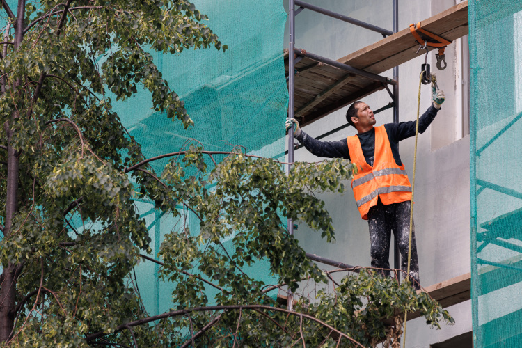 Еще одна тема, которую освещал в своих научных трудах Дзьоник, — миграция