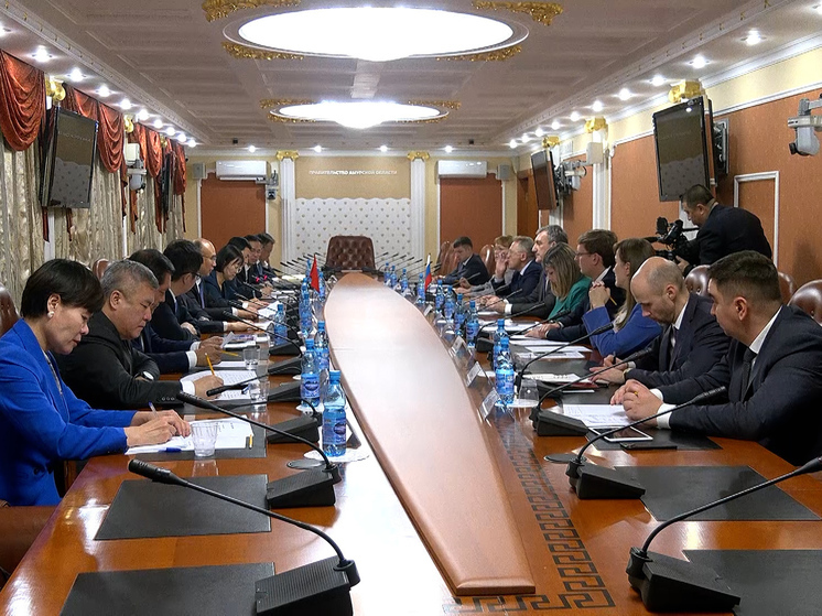 Секретарь комитета Компартии КНР провинции Хэйлунцзян Сюй Цинь впервые посетил Приамурье