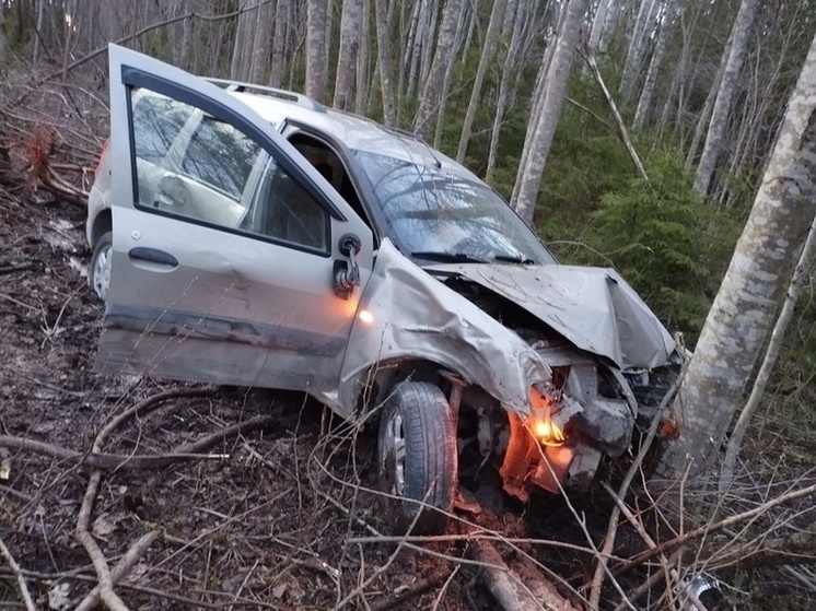 Два человека погибли на дорогах Вологодской области за минувшие сутки