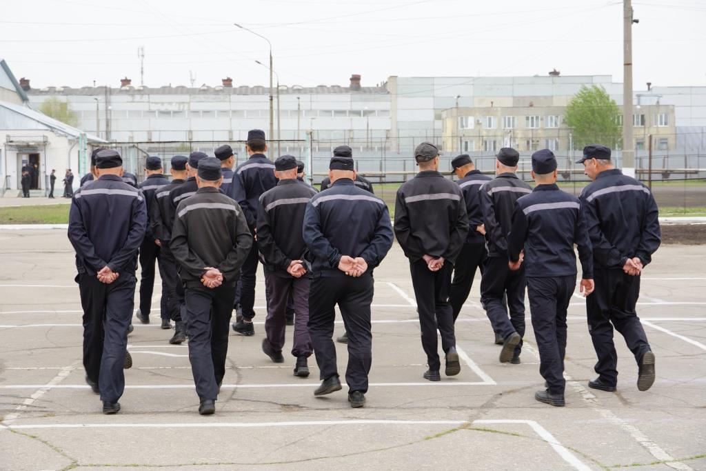 На месяц в димитровграде