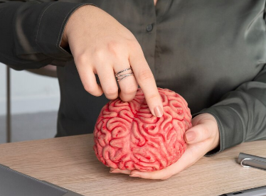 Ученые из ННГУ доработали тренажер когнитивных способностей мозга
