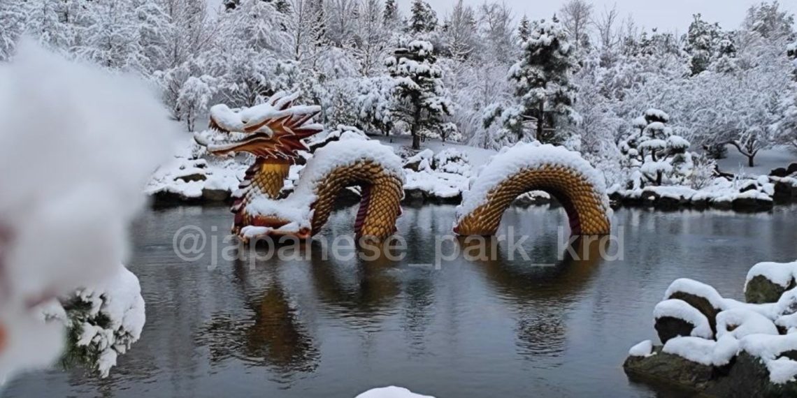 парк галицкого в краснодаре 2022. парк галицкого работает 1 января. памятники в парке галицкого. парк галицкого в краснодаре зимой. парк галицкого работает 1 января.