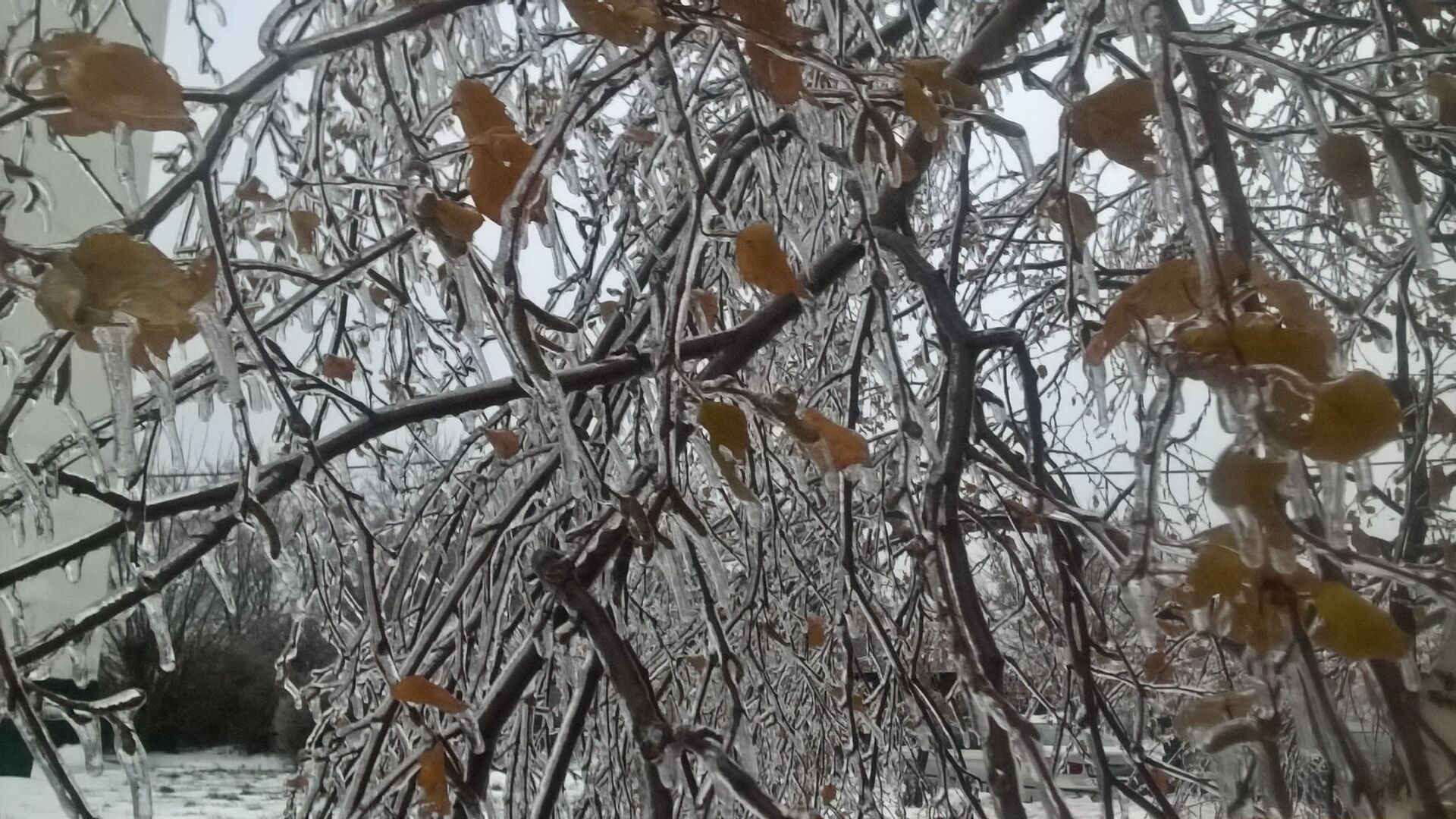 Москва ледяной дождь сегодня. Ледяной дождь. Ледяной дождь в Моск. Последствия ледяного дождя в Москве. Ледяной дождь Россия.