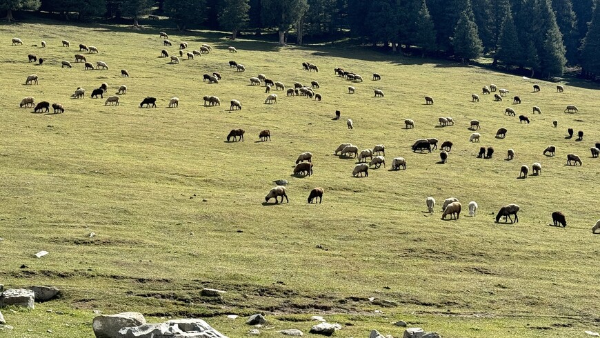 «Сказка» странствий