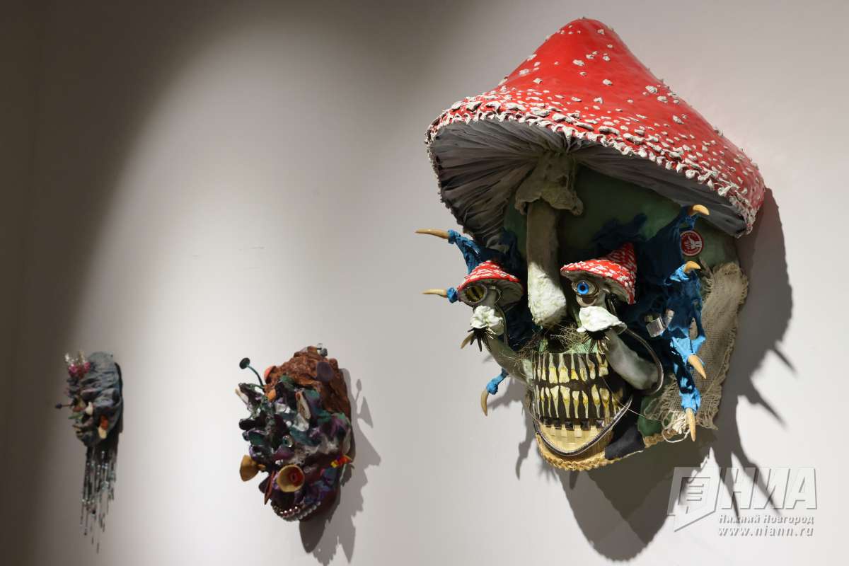 Хрупкий слой: в Нижнем Новгороде открыли спецпроект о природе и человеке