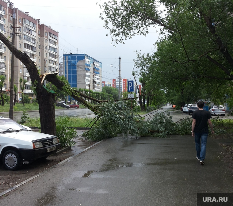 Буря в челябинске сегодня. Ура ура ураган. Когда Ураганное предупреждение в Челябинске.