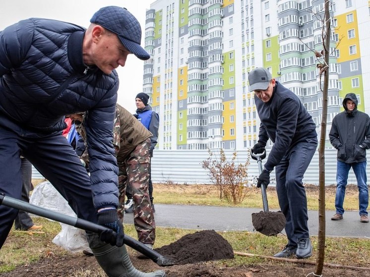 На озеленение Курска крупномерными деревьями выделено 10 млн рублей