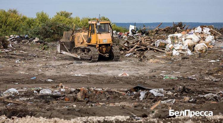 52 несанкционированные свалки выявили в Белгородской области за 10 месяцев 2025 года