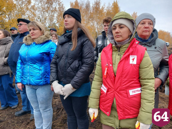Осенью в Саратовской области высадят 3 миллиона сеянцев 