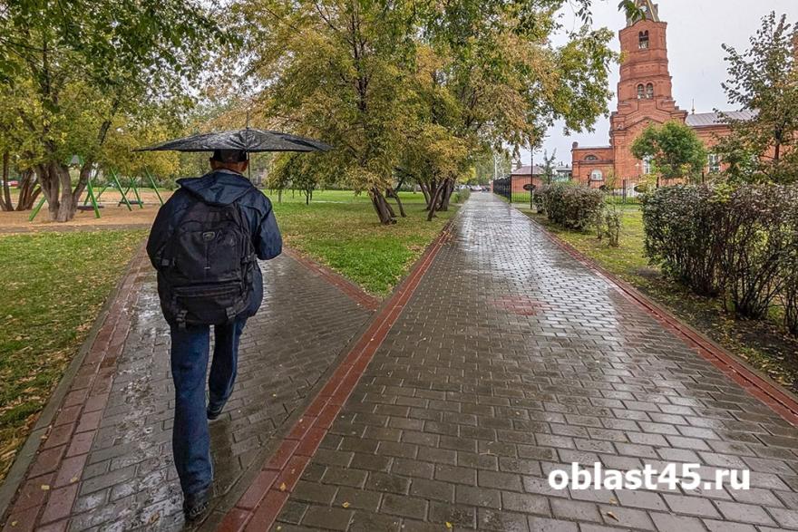 Главное за неделю в Курганской области: арест главы УФССП, фейк о медведе и цены на бензин