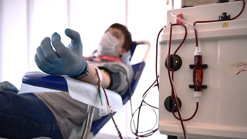 В Краснодарском крае звание почётного донора России получили 560 человек