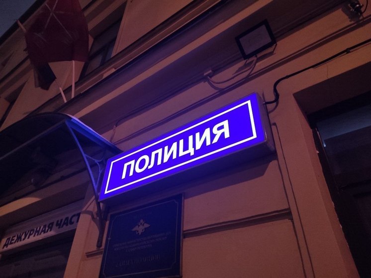 Интерпол задержал в Петербурге иностранца, четыре года назад до смерти избившего мужчину