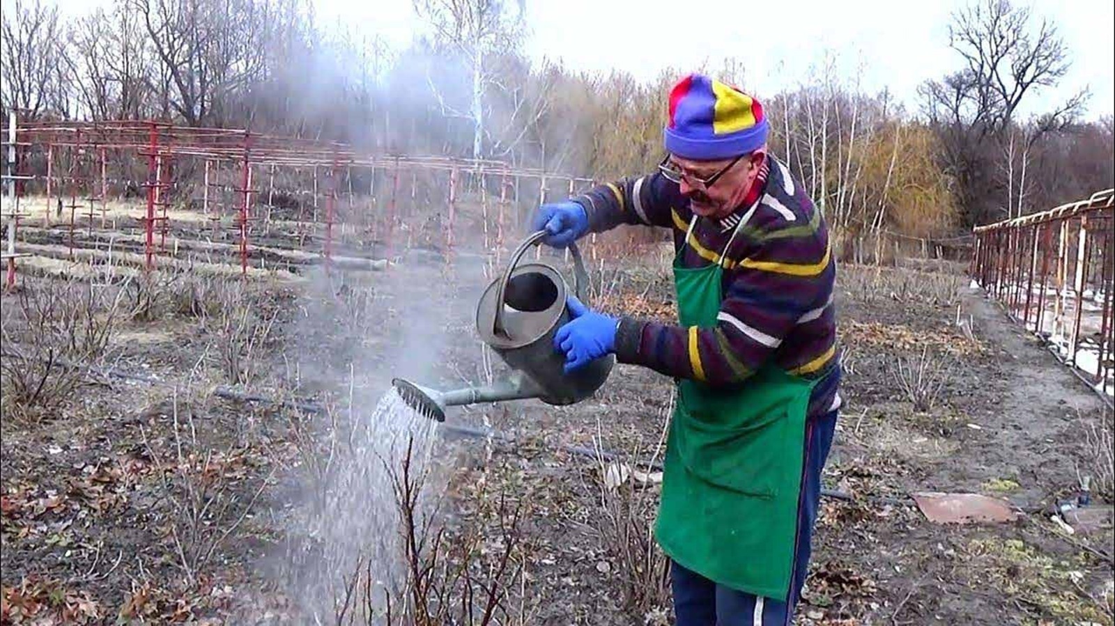 Посадка кипятком. Горячая вода. Обработка кустов соляркой.