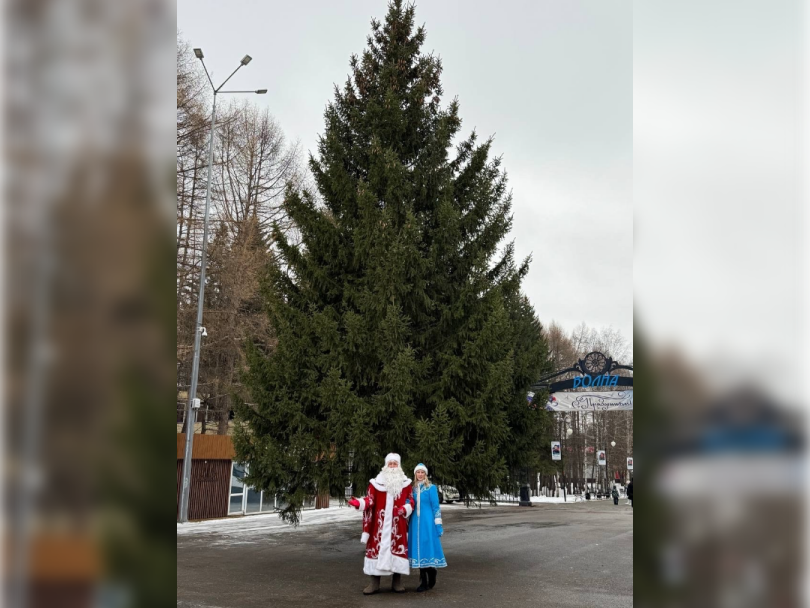 В Уфе установили первую новогоднюю елку