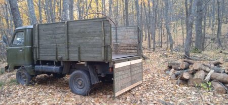 Лесные инспекторы и сотрудники природоохранной прокуратуры поймали рубщиков деревьев в Татищевском районе