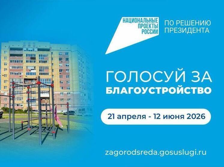В Пскове продолжается голосование за объекты благоустройства на 2027 год