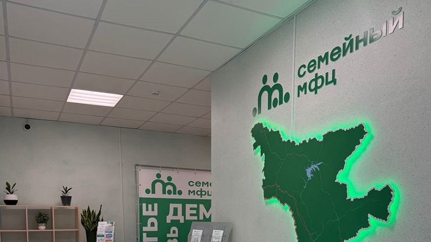 Родители в Амурской области смогут оформить гражданство детей в МФЦ бесплатно - gtrkamur.ru