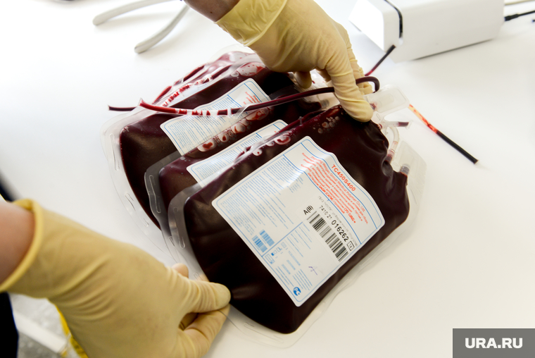 Донорство крови челябинск. Донорство. Донорство крови. Переливание крови разным животным.