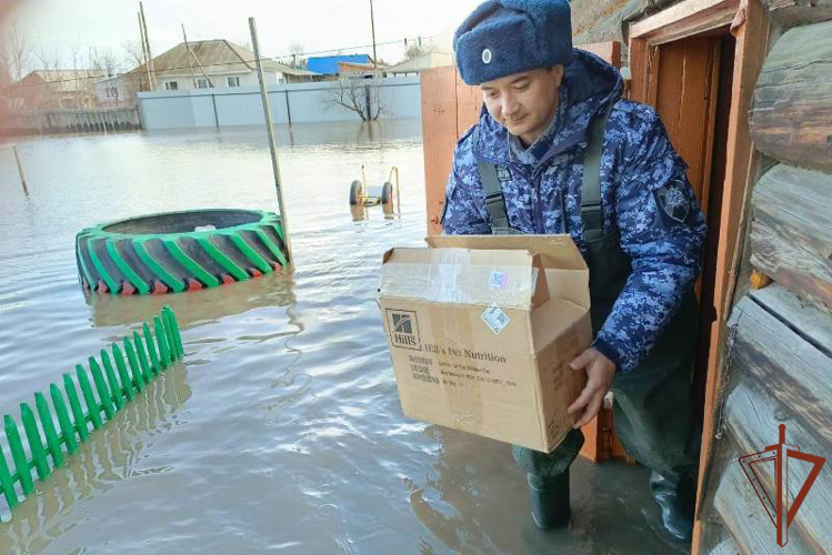 В Алтайском крае заслуги росгвардейцев отмечены медалями МЧС России