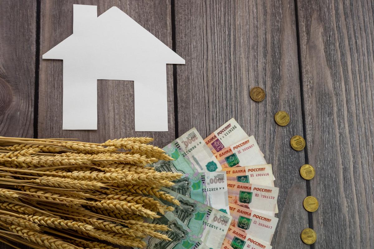 господдержка отзывы