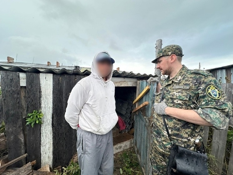 Оставили под стражей свердловчанина, обвиняемого в убийстве девочки 26 лет назад