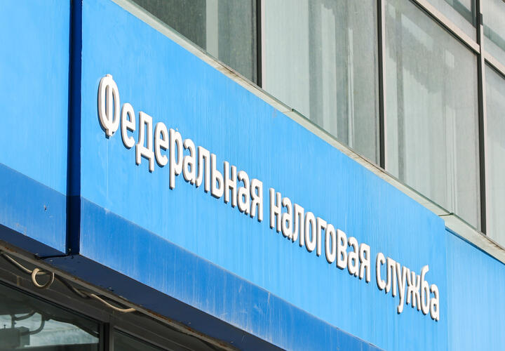 Продавцы зерна на юге сумели скрыть от налоговой полмиллиарда 