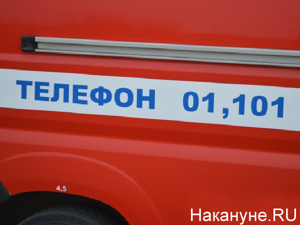 Фото: Накануне.RU