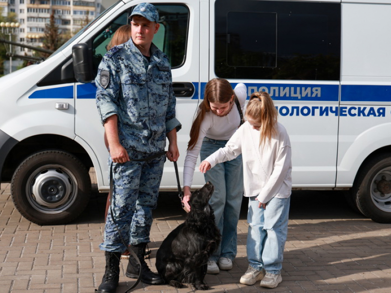 JPG Файл
