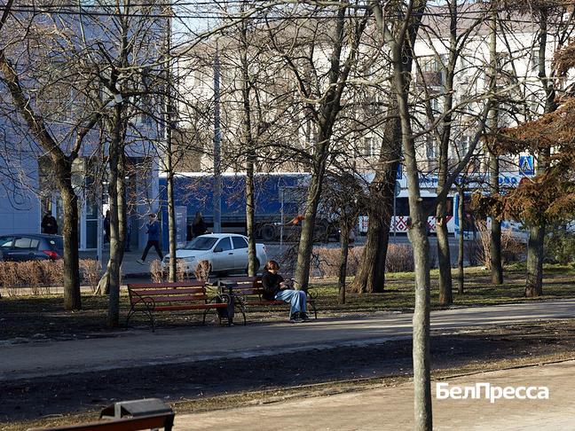 Ограничения мобильного интернета в Белгородской области осложнили работу бизнеса - Изображение 