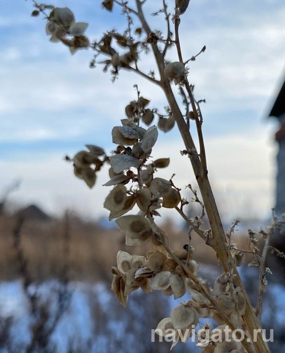 Новосибирцев предупредили об ухудшении погоды