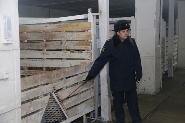 В УФСИН России по Омской области проведен учебно-методический сбор по организации тылового и энергетического обеспечения