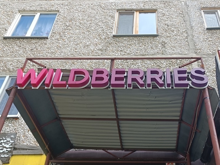 Как начиналось и чем закончилось строительство складского комплекса Wildberries в Екатеринбурге, где погибла молодая девушка