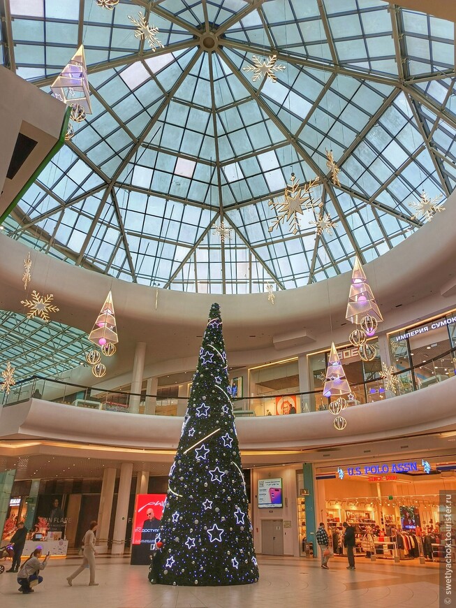 Развлечения в ноябрьском Петербурге