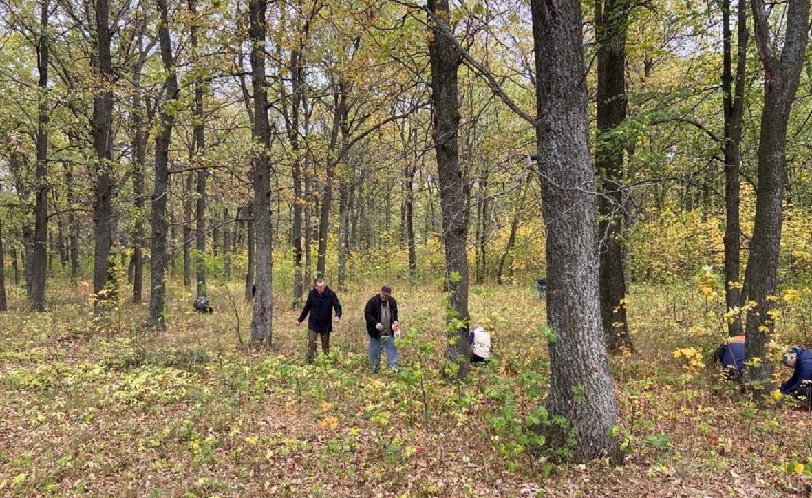 Фото: Минлесхоз РБ