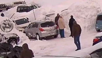 Полиция проводит проверку по факту драки во дворе дома на улице Толстого в Петропавловске-Камчатском