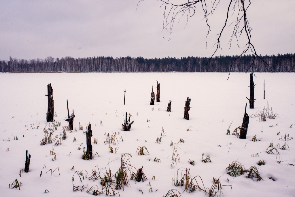 Мёртвое озеро в Пензенской области. Мертвое озеро в Оренбурге. Мертвое озеро Скворцов. Необычные фен омены аолков. Dead lakes