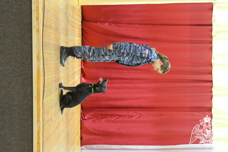 Сотрудники Росгвардии организовали военно-патриотическое мероприятие для ивановских студентов