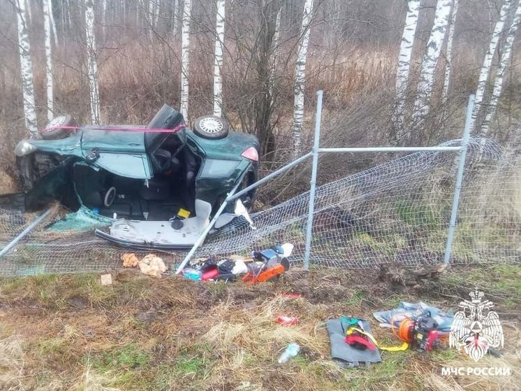 Костромские казусы: противолосиное ограждение спасло жизни двум автомобилистам