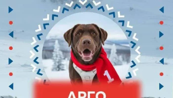 Истории о домашних питомцах принимает конкурс «Берингия. История дружбы» на Камчатке