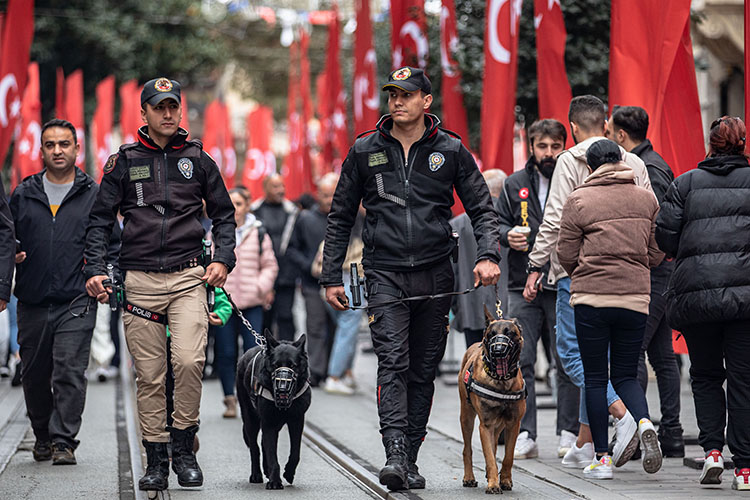 Местные силовики устроили несколько волн облав и задержаний, в центре которых оказались многочисленные и хорошо известные в Турции актеры, певцы, блогеры и инфлюенсеры