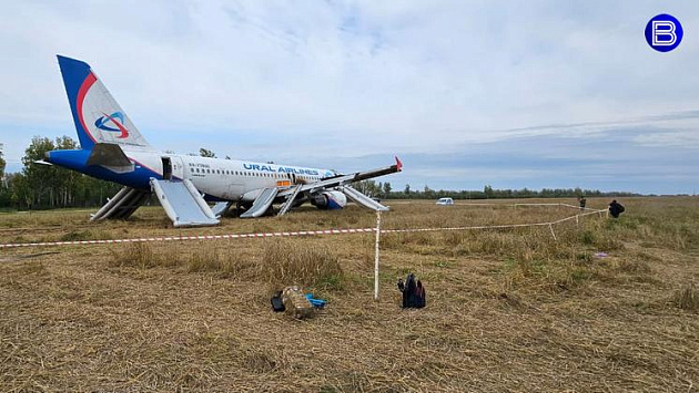 Авиаэксперт назвал успешную посадку самолета в новосибирском поле чудом