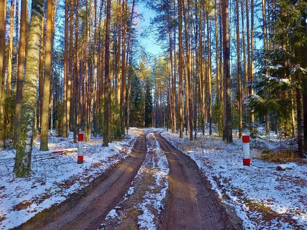 Не остынет печка у солдата