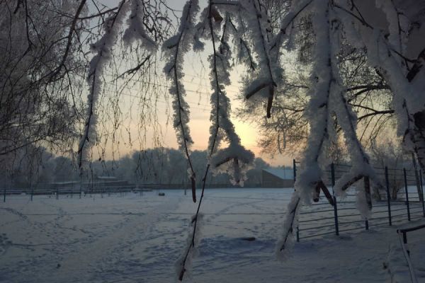 Синоптик из Хакасии - о погоде в декабре и лютых морозах