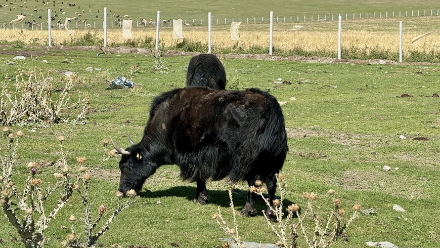 «Сказка» странствий