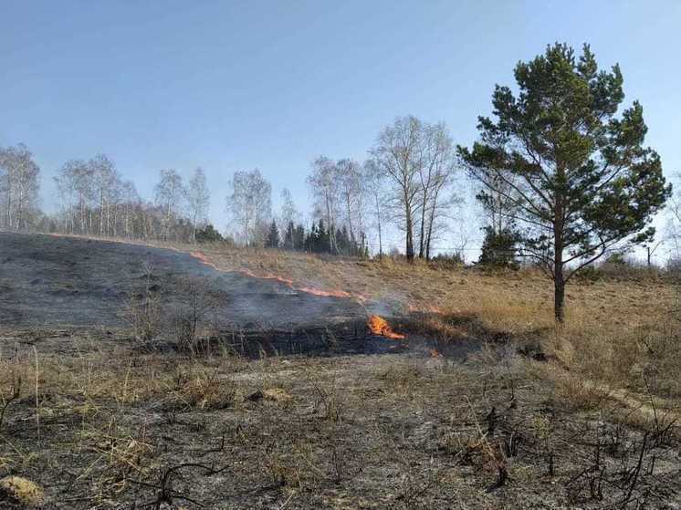 Высокая пожароопасность объявлена в девяти районах Новосибирской области