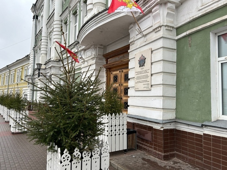 Ели из кадок от здания администрации в Вологде высадили в грунт