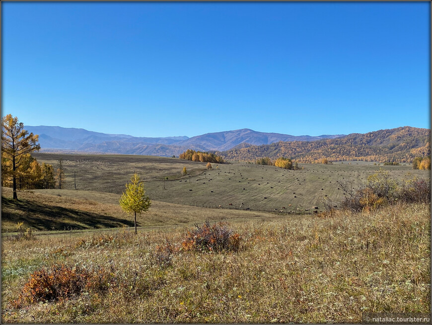 «Осенние краски Уймонской долины». Прощальный день: на гору Маяк с закрытыми глазами, посиделки на берегу Катуни и у костра в ночи 