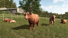 Разработчики фермерского симулятора Farming Simulator 25 объявили дату релиза крупного дополнения «Горная рыбалка»